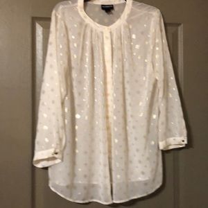 Liz Claiborne Spring sheer long sleeved blouse.